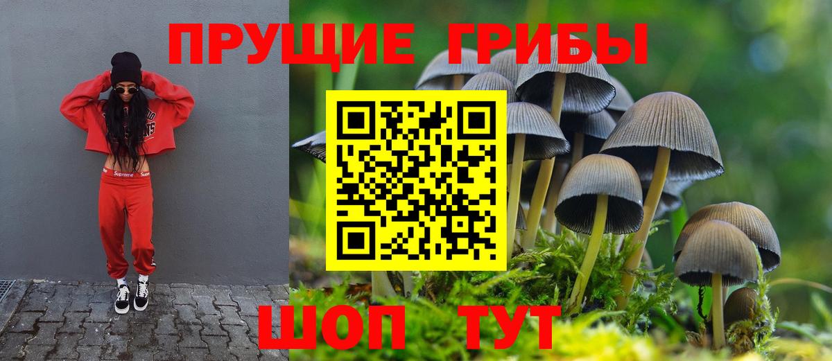 Галлюциногенные грибы Psilocybe Ливны
